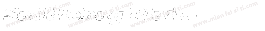 Saddlebag Plain字体转换